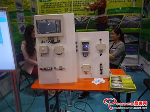 科技賦能 味蕾綻放——3000多項食用菌產品技術亮相青島會展，計量技術服務助力產業升級